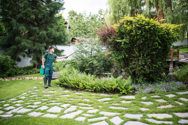 Flea Control Services in Mission Hills, CA