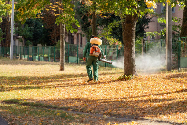 Best Pest Control for Homes  in Mission Hills, CA