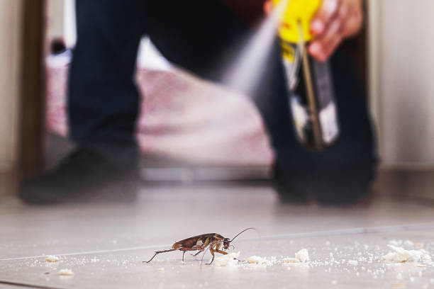 Wildlife Control Services in Mission Hills, CA